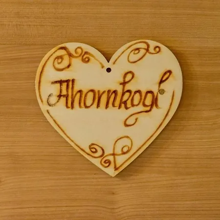 Apartmán Ferienwohnung Arhornkogel Puchen